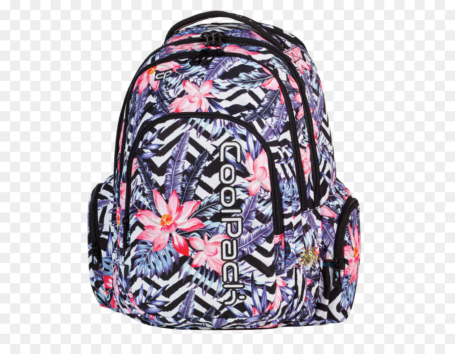 Mochila，Samsonita PNG