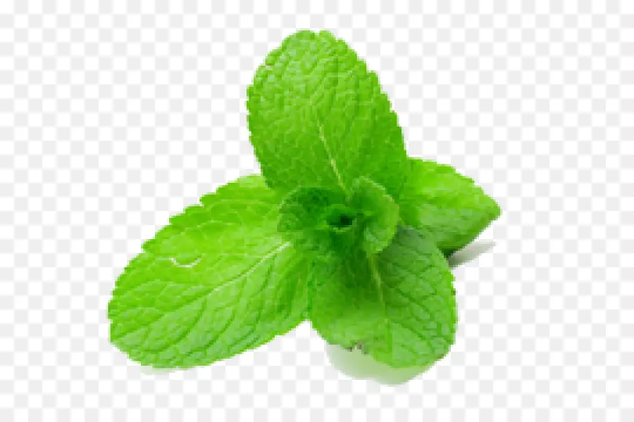 Menta，Sabor PNG