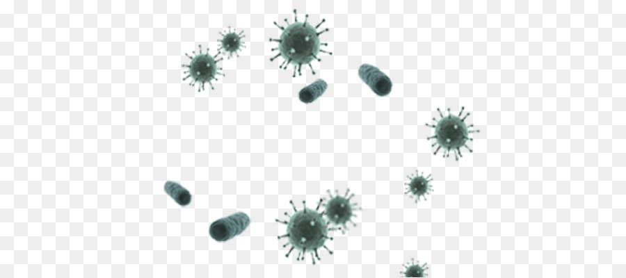 Bacterias，Virus PNG