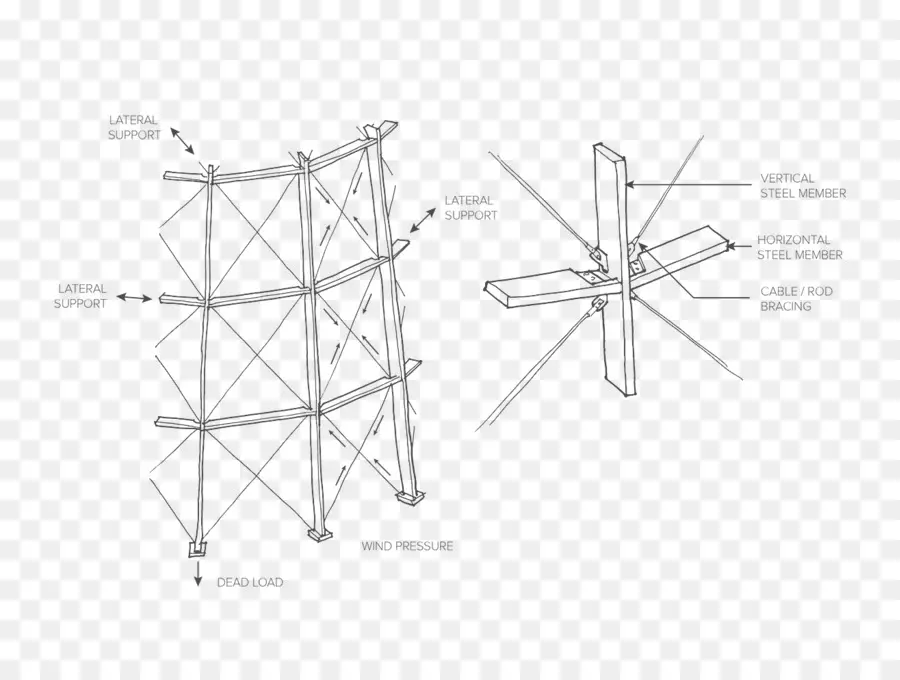 Estructura，Gridshell PNG