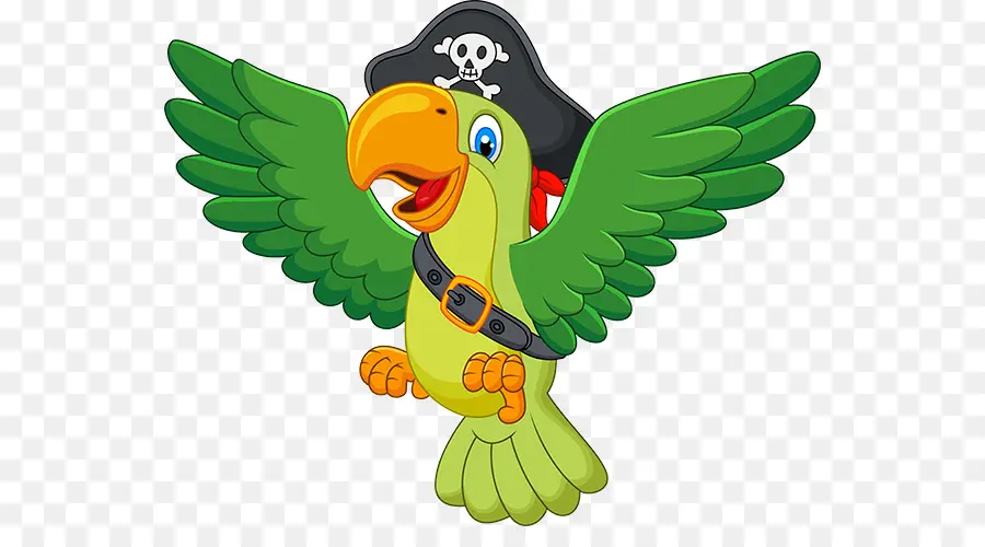 Loro Pirata，Pájaro PNG