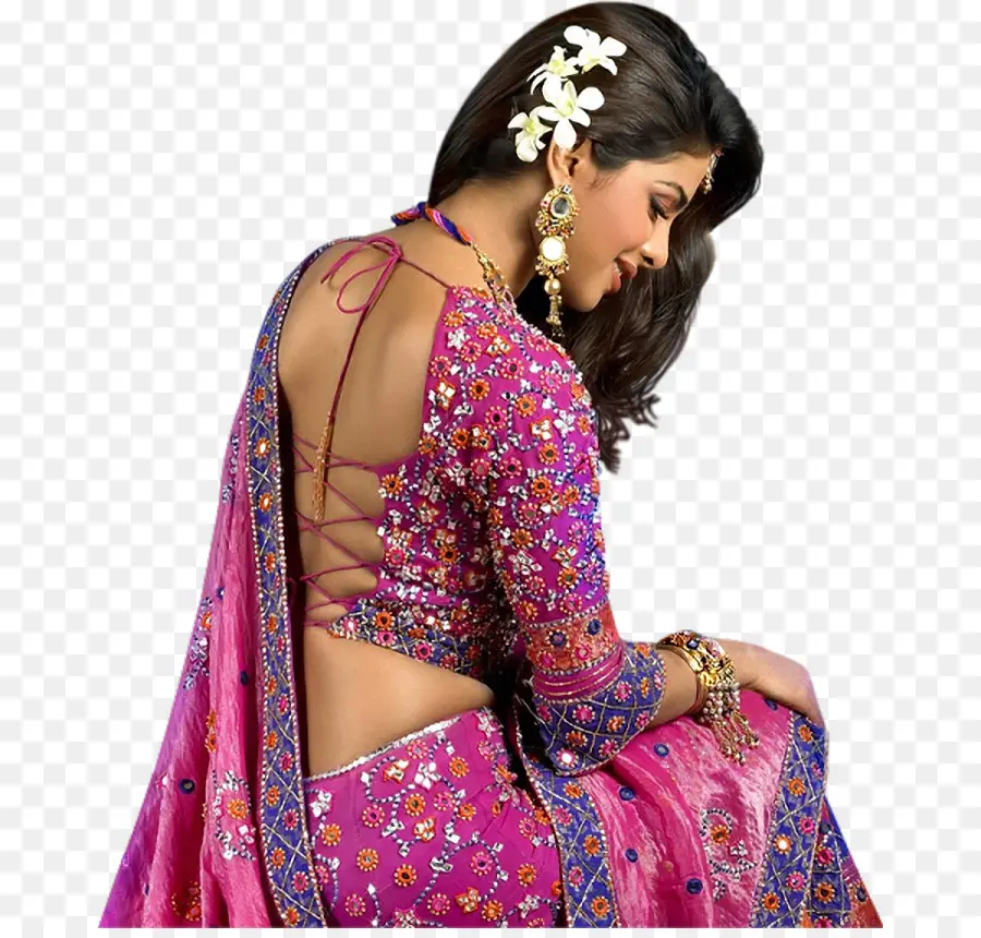 Priyanka Chopra，Sari PNG