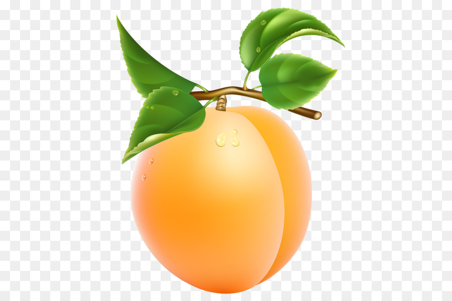 Albaricoque，La Fruta PNG