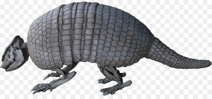 Holmesina，Glyptodont PNG