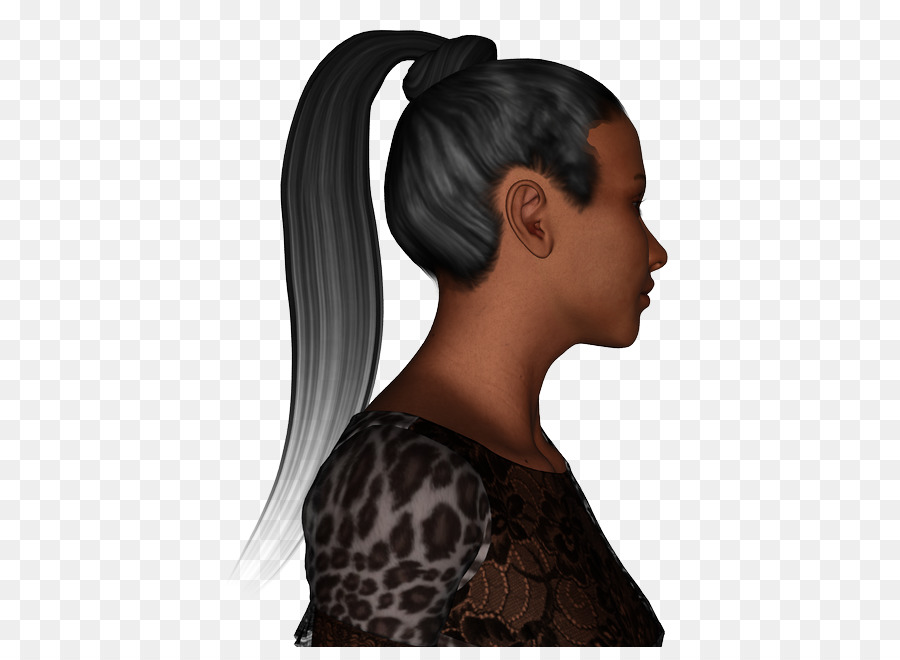 El Cabello Negro，Cola De Caballo PNG