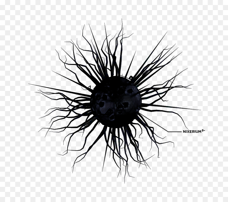 Sol Negro，Oscuro PNG