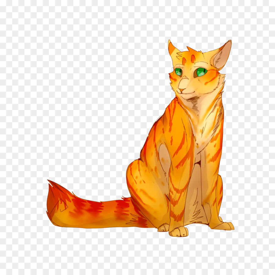 Gato Marrón，Felino PNG