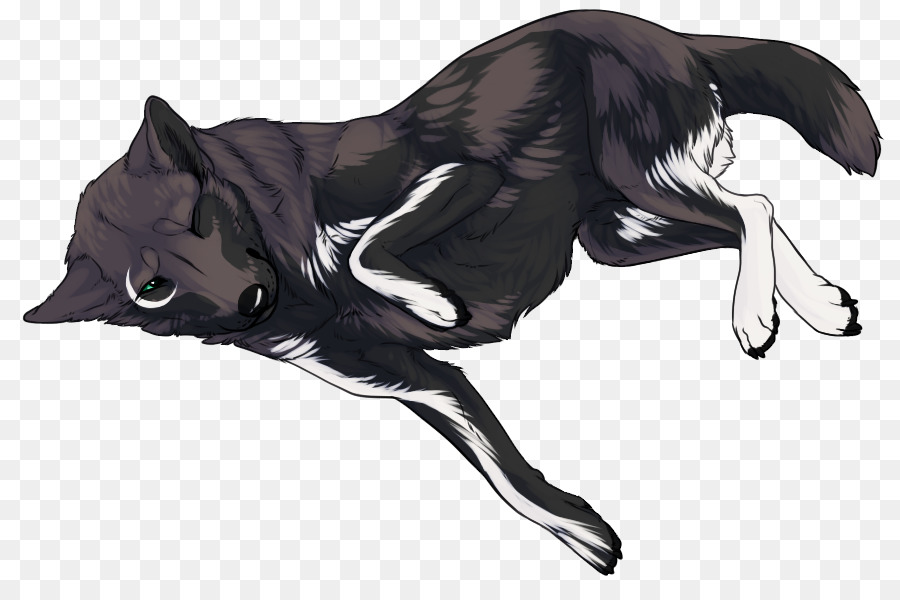 Perro，Gato PNG