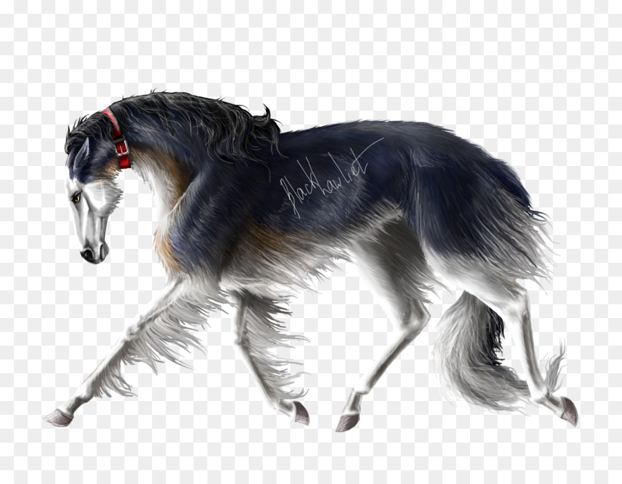 Saluki，Borzoi PNG