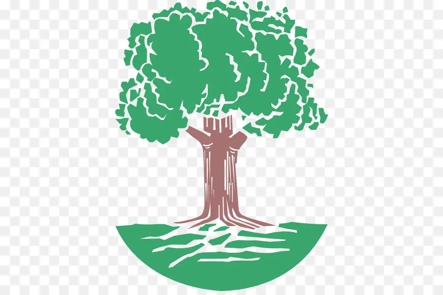 Árbol，Hojas PNG