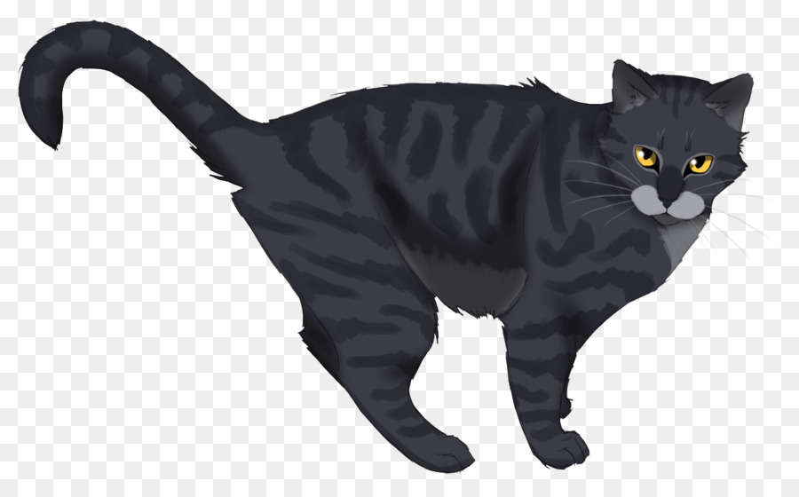 Gato Negro，Chartreux PNG