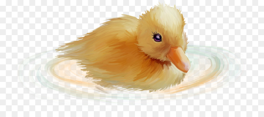 Patito Amarillo，Pato PNG