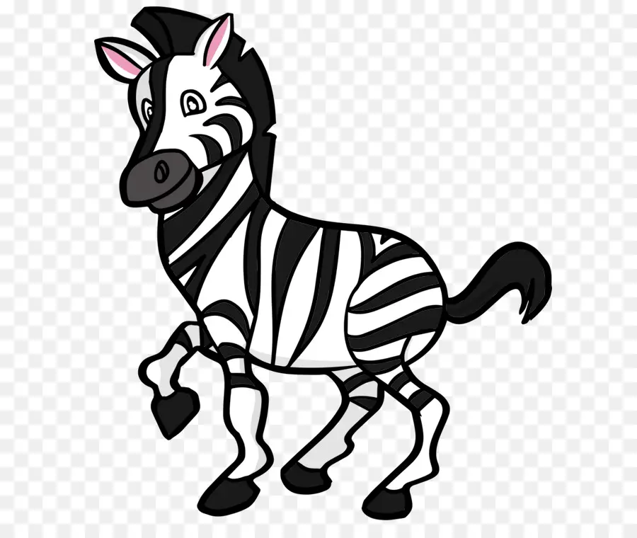 Zebra，La Lindura PNG