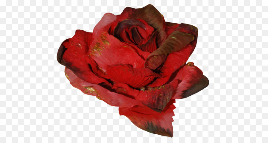 Rosas De Jardín，Floribunda PNG