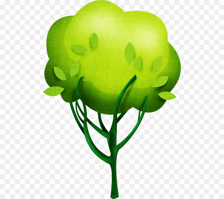 árbol，Apple PNG