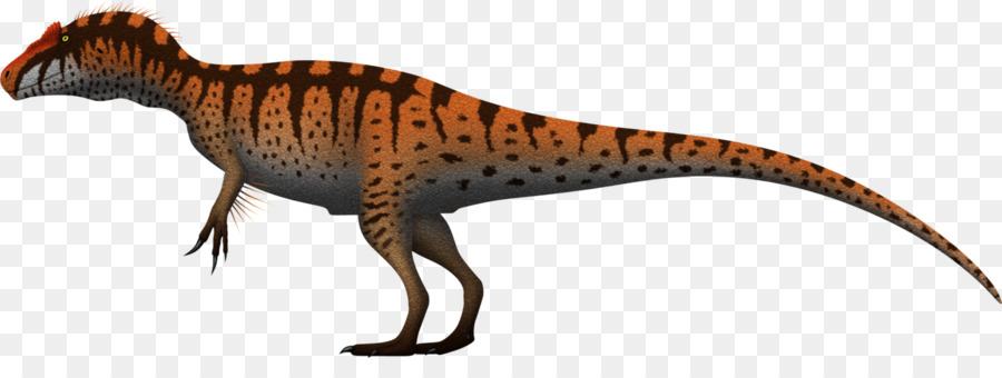 Tyrannosaurus，Allosaurus PNG