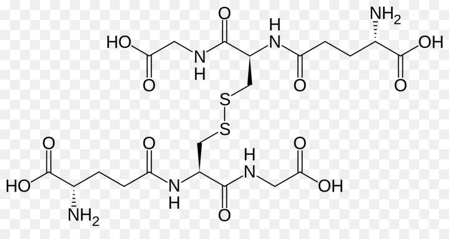 Disulfuro De Glutatión，El Glutatión PNG