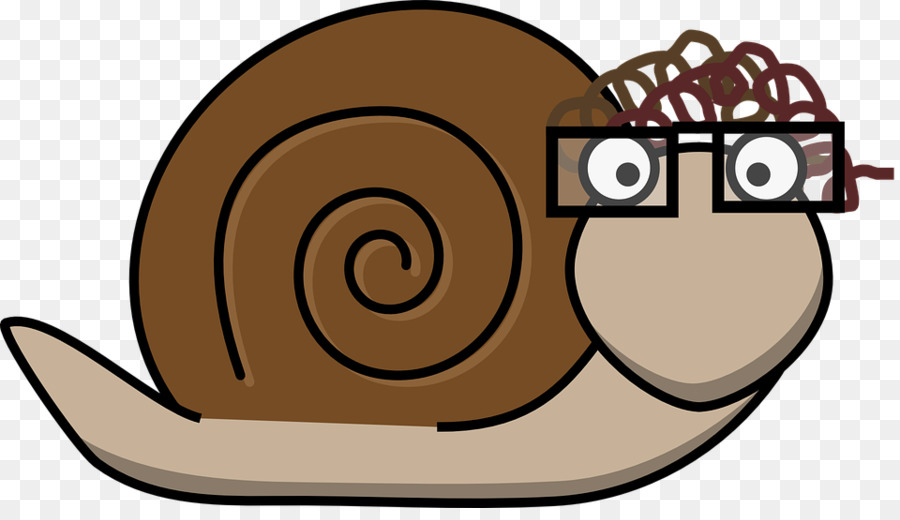 Caracol，Gasterópodo De Concha PNG