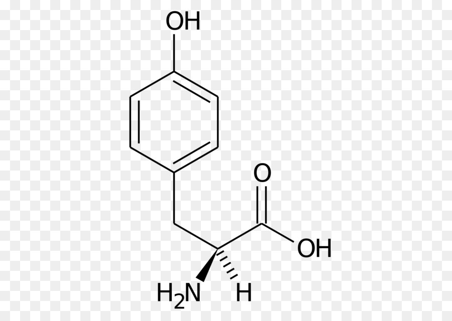 Estructura Química，Molécula PNG