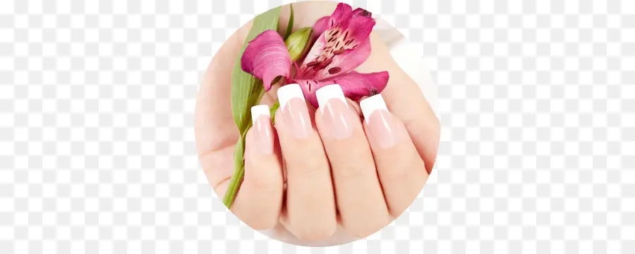 Manicura，Salón De Uñas PNG