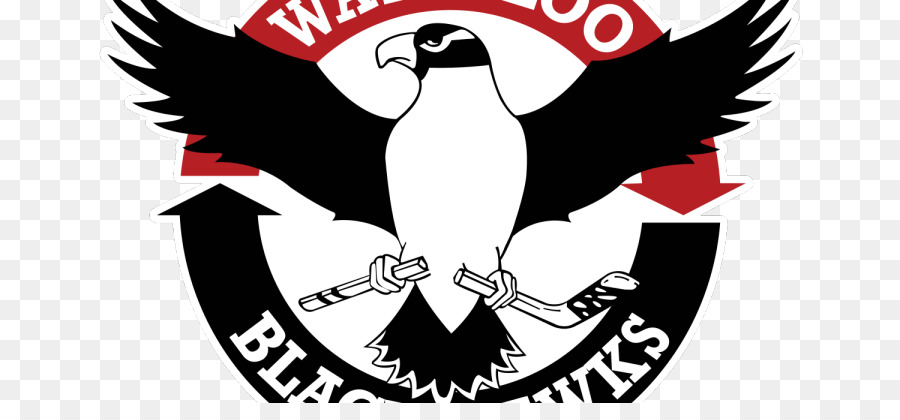 Liga De Hockey De Los Estados Unidos，Waterloo Black Hawks PNG