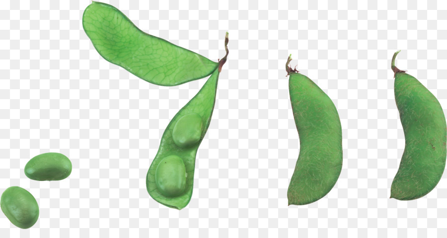 Pea，Vegetal PNG