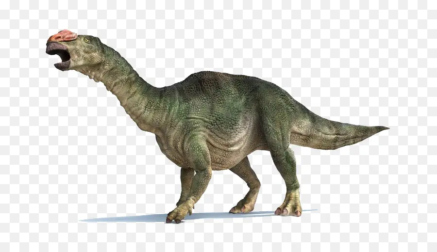 Dinosaurio，Prehistórico PNG