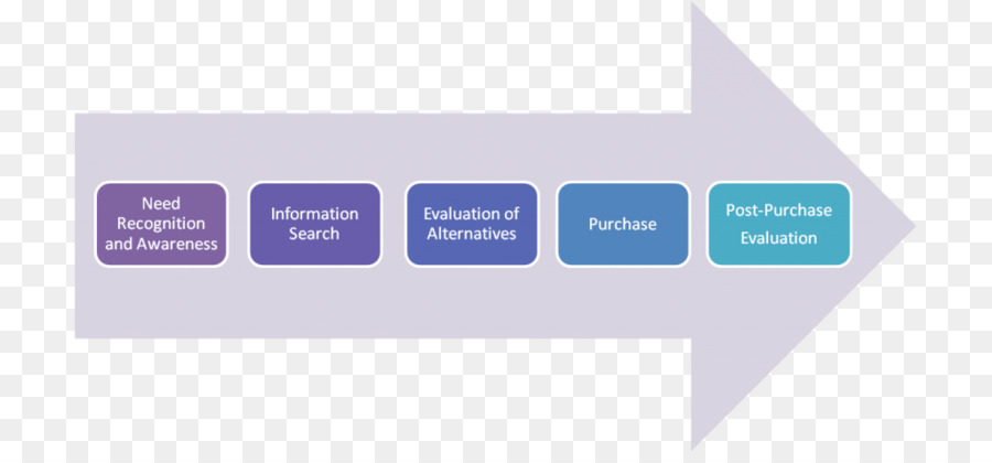 Proceso De Decisión Del Comprador，La Toma De Decisiones PNG