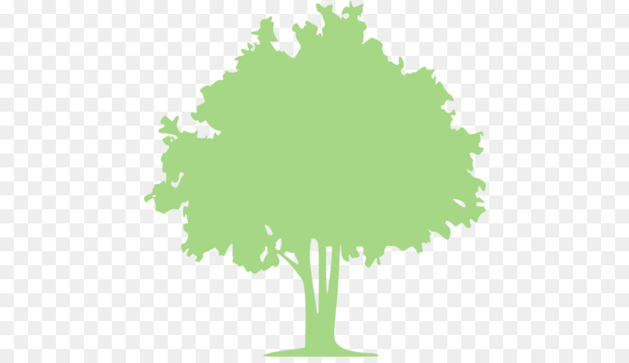 árbol Verde，Naturaleza PNG