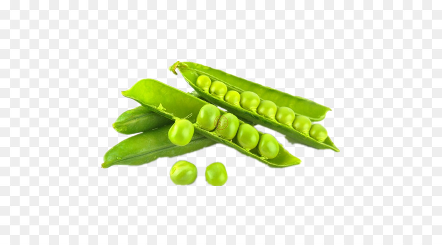 Guisantes，Snow Pea PNG