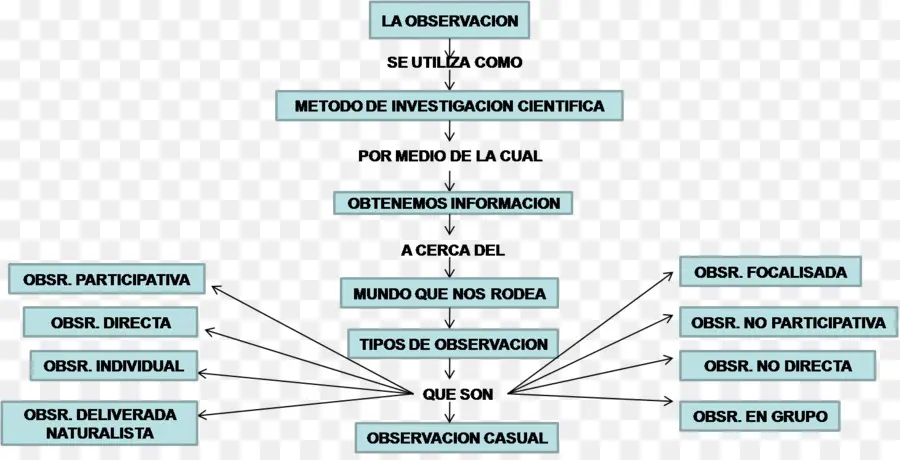 Mapa Conceptual，Mapa PNG