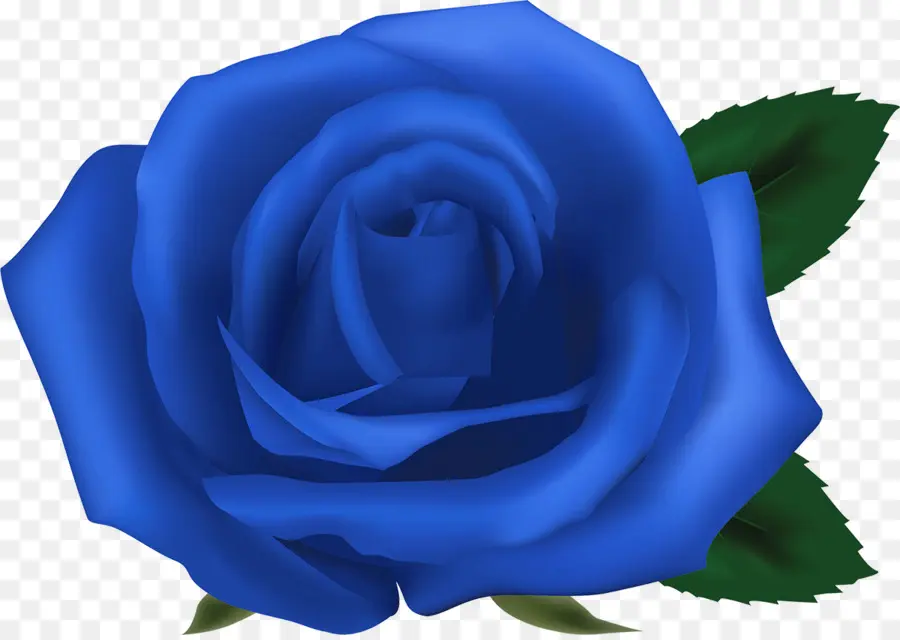 Las Rosas De Jardín，Rosa Azul PNG