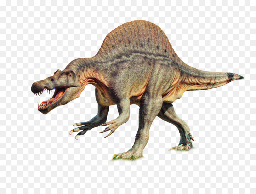 Tyrannosaurus，Velociraptor PNG