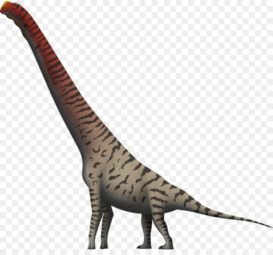 Giraffatitan，Brachiosaurus PNG