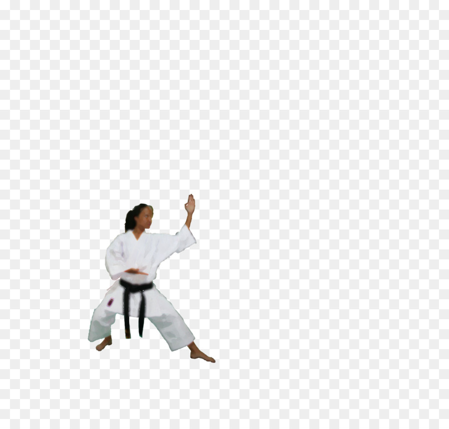 Karate，El Deporte PNG