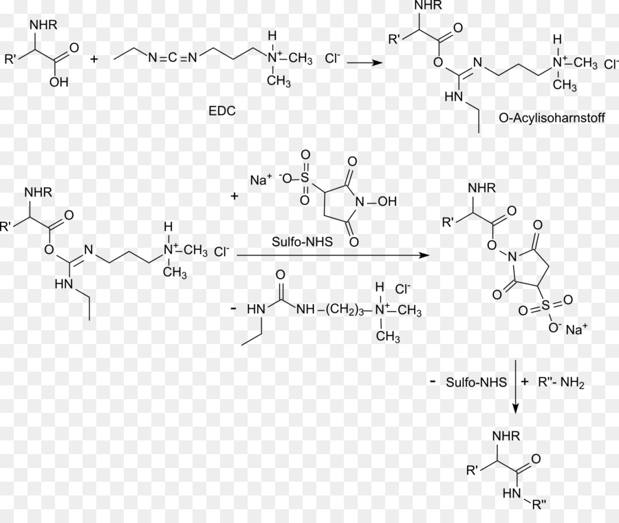 Reacción Química，Química PNG