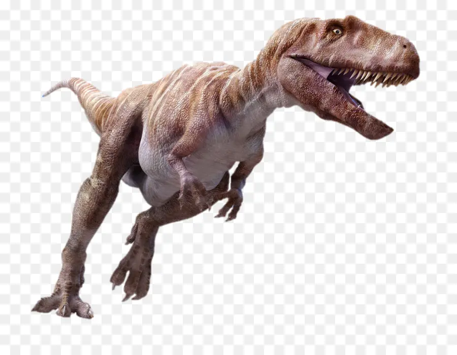 Megalosaurus，Spinosaurus PNG