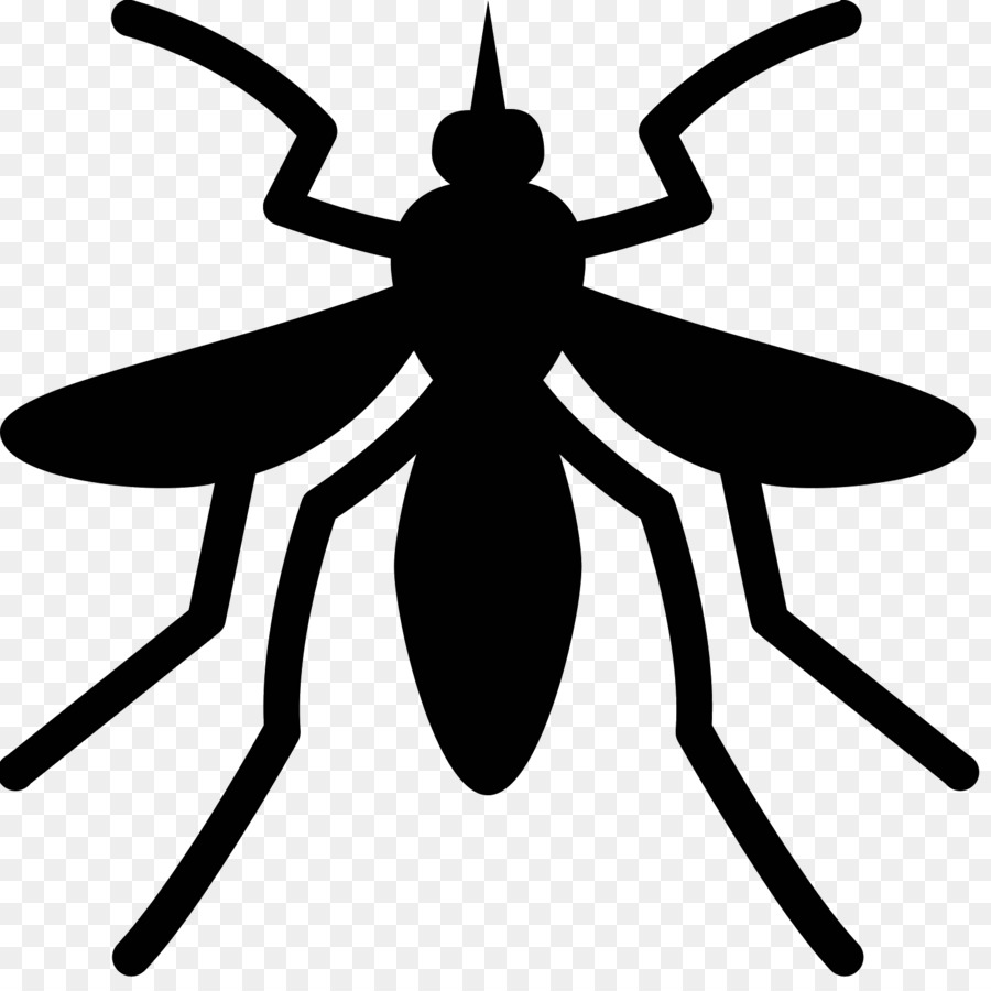 Mosquito，Bicho PNG