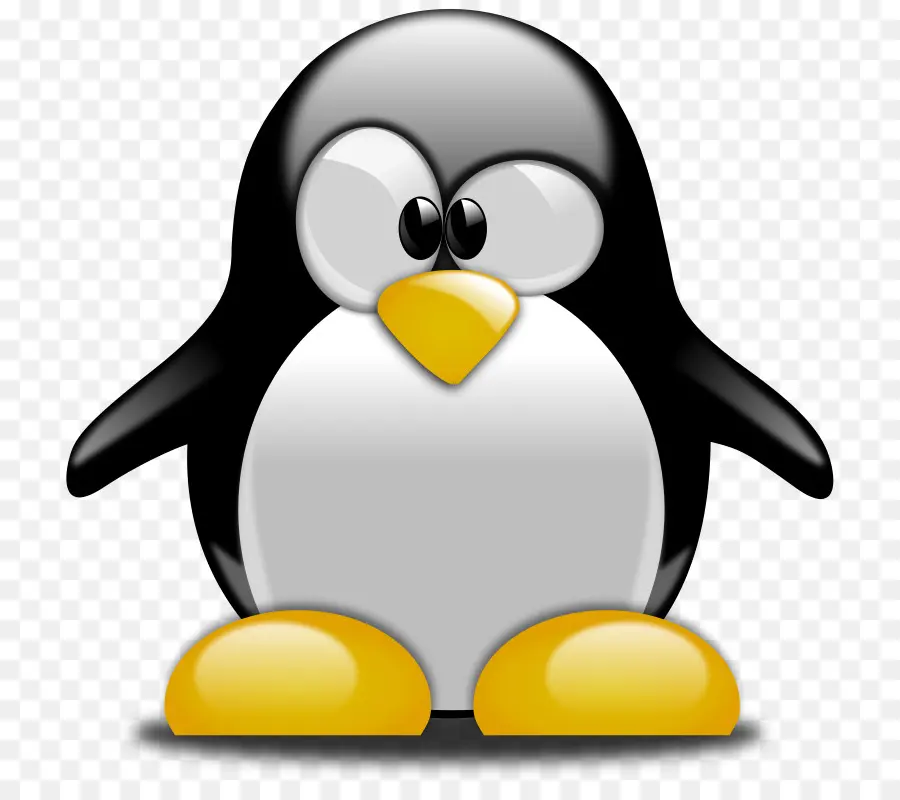 Camiseta，Penguin PNG