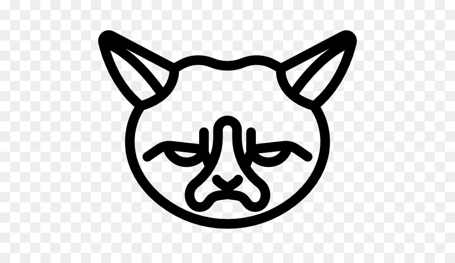 Gato，Grumpy Cat PNG