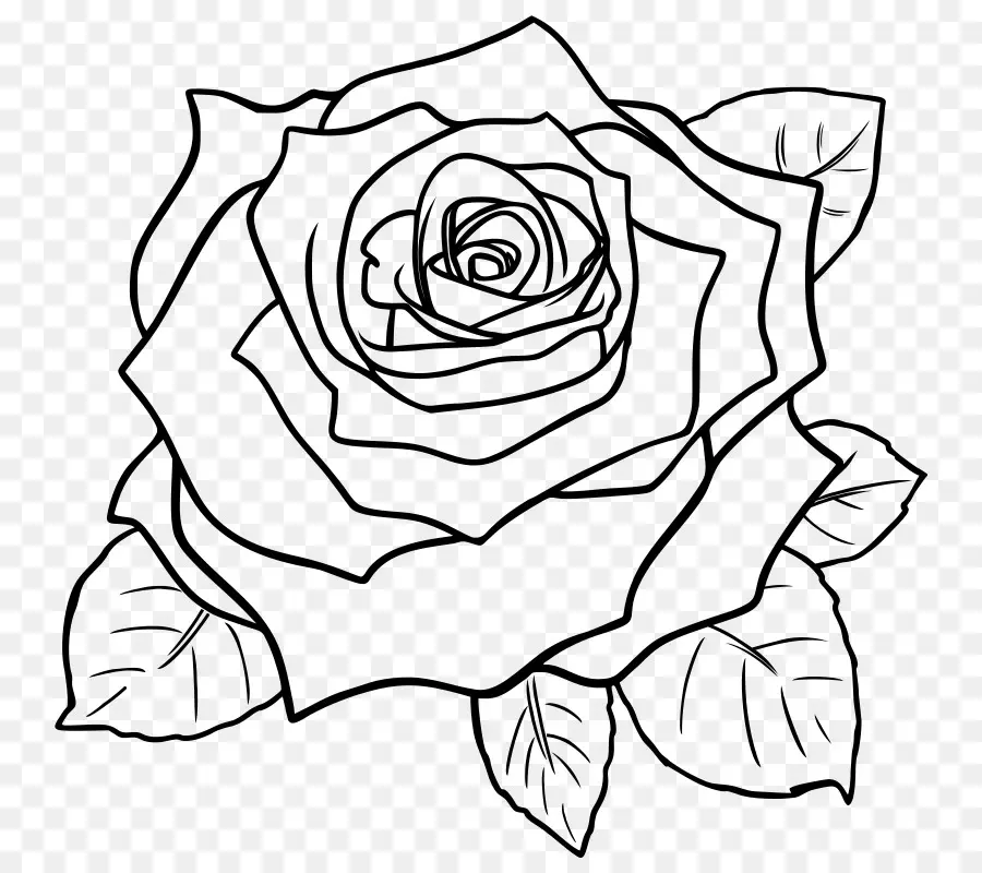 Black Rose，Rosa PNG