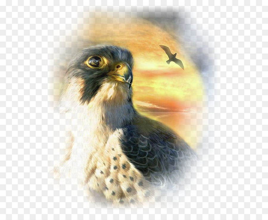 Pintura，Falcon PNG