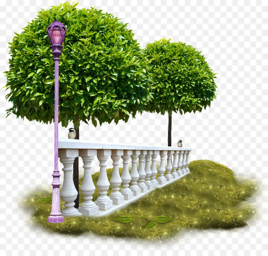 Jardín，árbol PNG