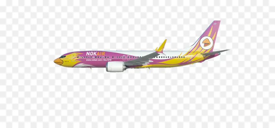 Boeing 737 Next Generation，Boeing 737 PNG