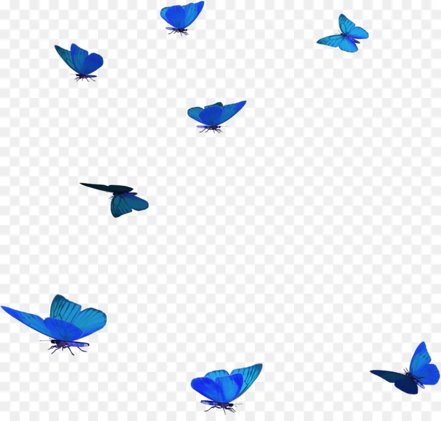 Mariposas Azules，Vuelo PNG