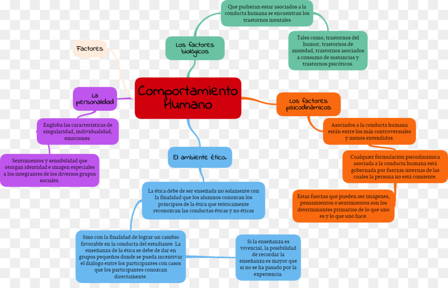 La ética，El Comportamiento Humano PNG