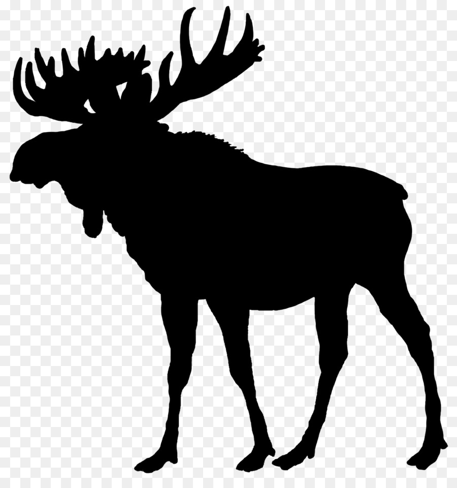 Moose，Ciervos De Obras PNG