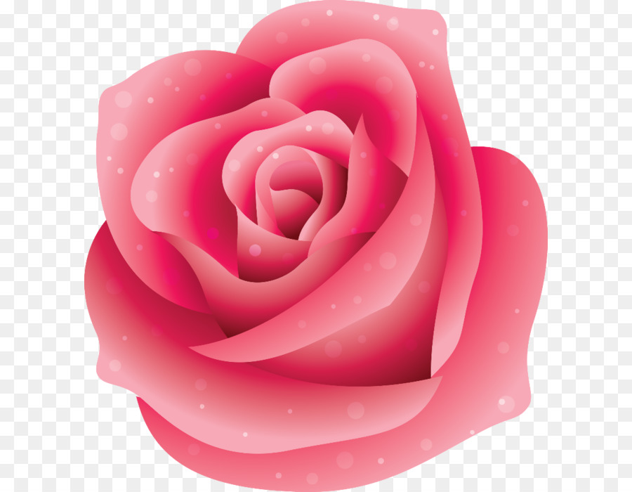 Las Rosas De Jardín，Rosa PNG