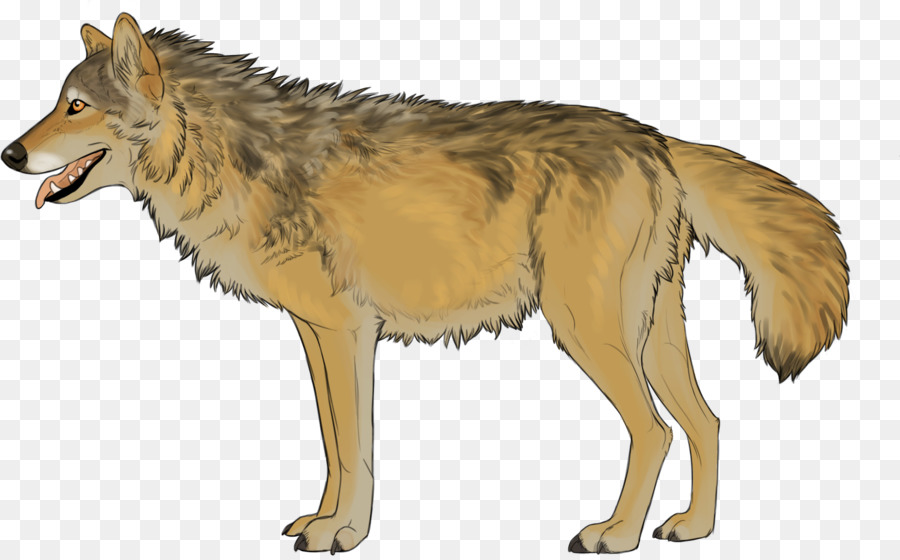 Lobo，Pelaje Blanco PNG