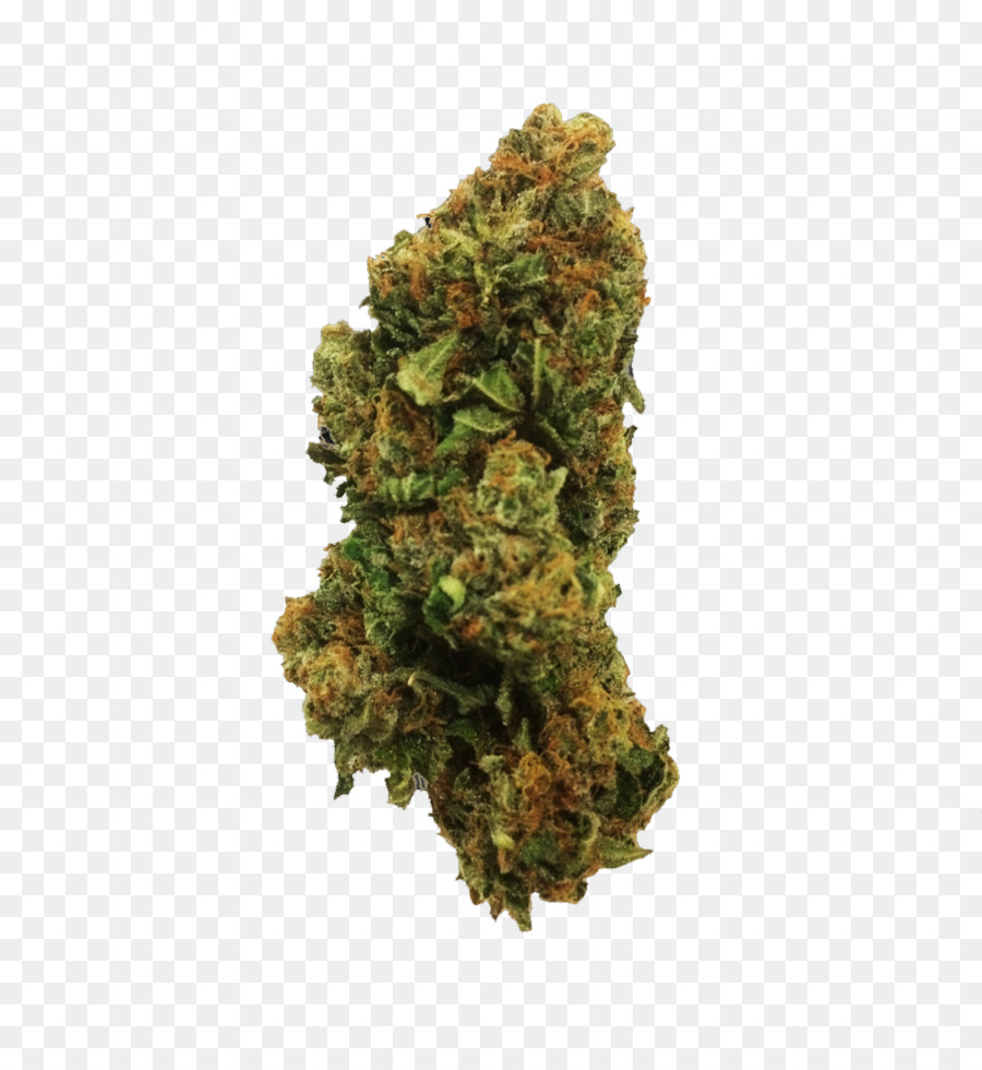 Cogollo De Cannabis，Verde PNG